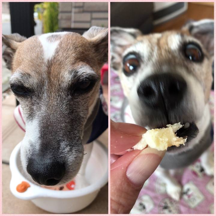 154a426b 56ba 42aa 8afe 0a01e536a69a 1521418134152