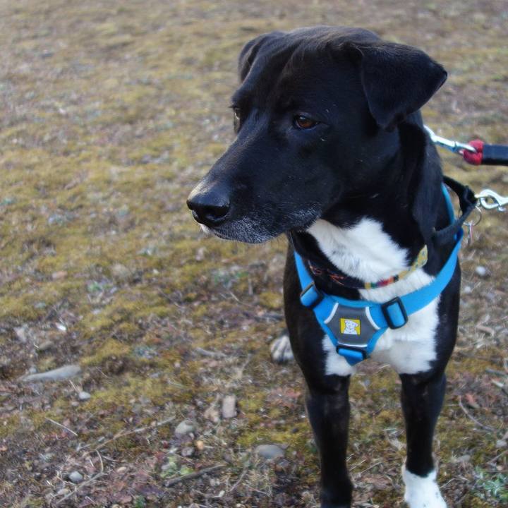 154a43cf 0218 47e4 a373 d862eabe0ffa 1613003575558