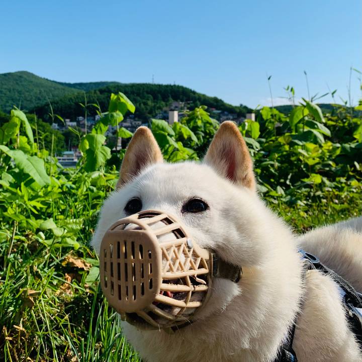 154a5360 ef2a 4290 8d5a 5cceda8b863c 1625007144264