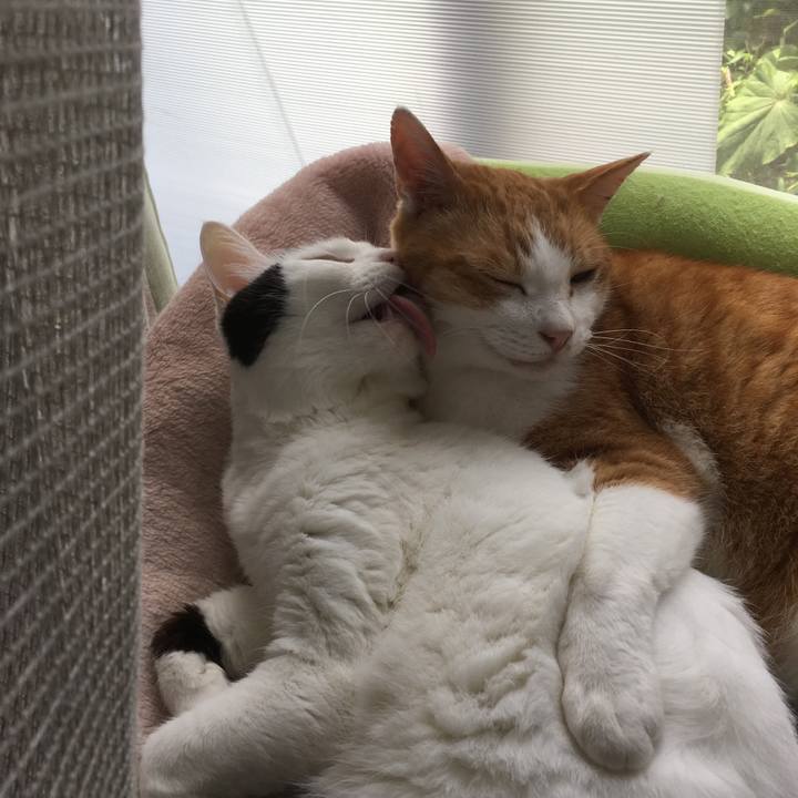 154ae46e 5bf7 4567 9cb4 0b204c68dae6 1553518003430