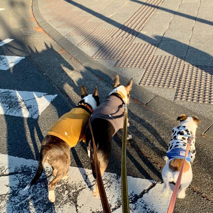 154b13b0 0e5f 4d06 b67e 345855039a0a 1609499403595