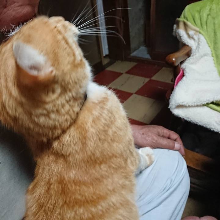 154b1588 7599 4526 b5c3 c12a7e4c36d5 1589746827195