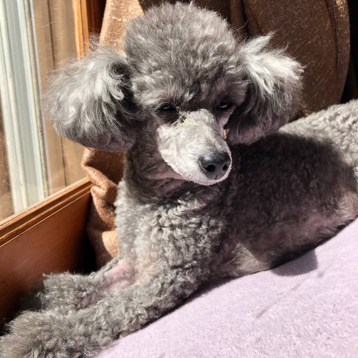 154b29c0 62d4 4136 8e04 1f3e2ffb9070 1554108851791