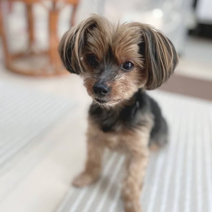 154b3188 d1ab 440a b9c5 19e97d529227 1713671478499