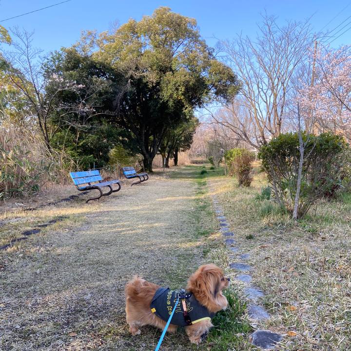 154b40a3 907e 48ad 893a f8923374345c 1648594431269