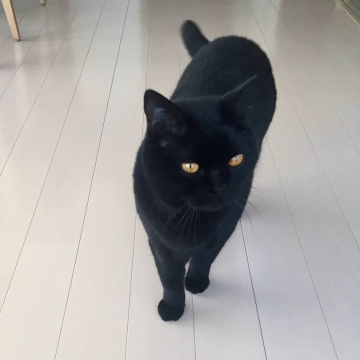 154b69b9 7245 41eb 92dd eeb2a30c77b9 1548553109824