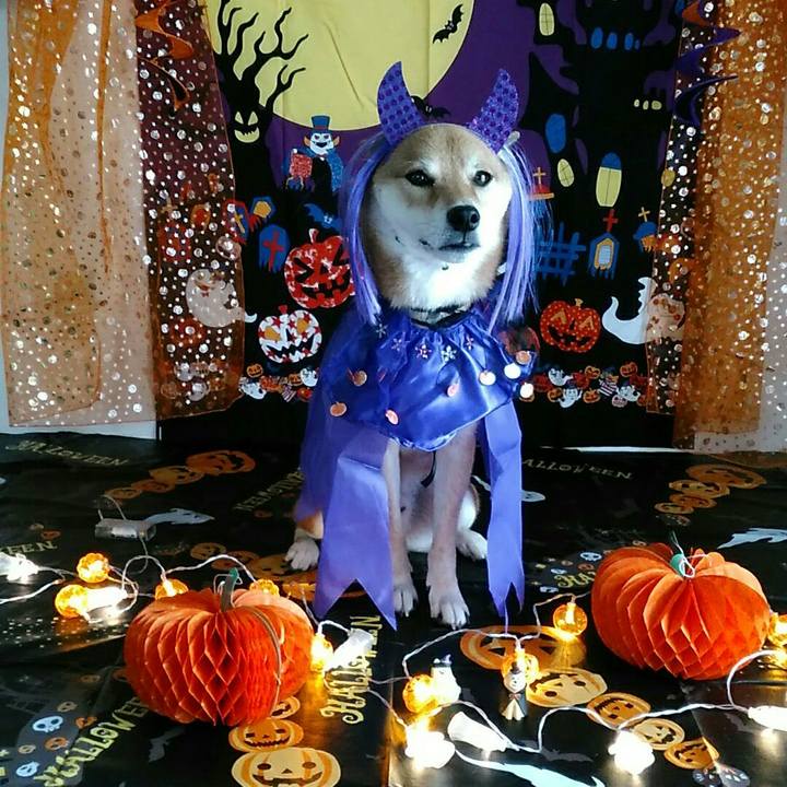 154b75e6 fa63 4c0a 8f47 9945f4bc85b0 1570069648860