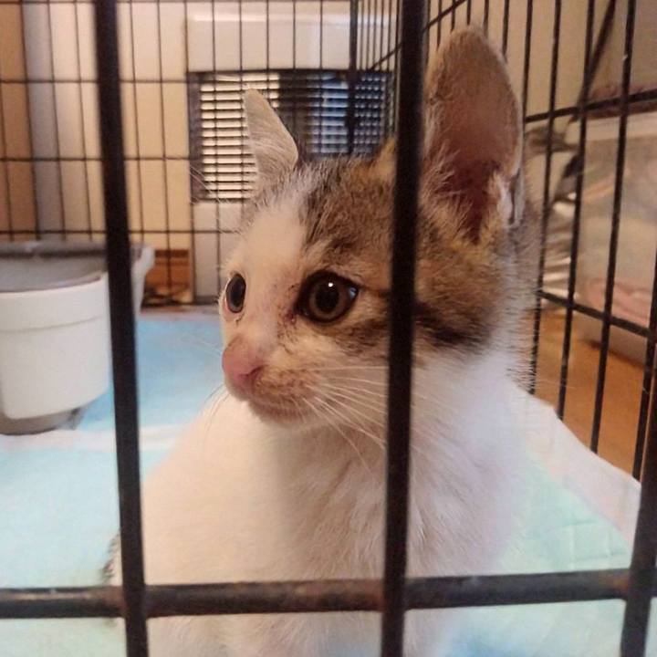 154bc5af 21b4 4efa 82a0 3b039be5c8f0 1725966134084