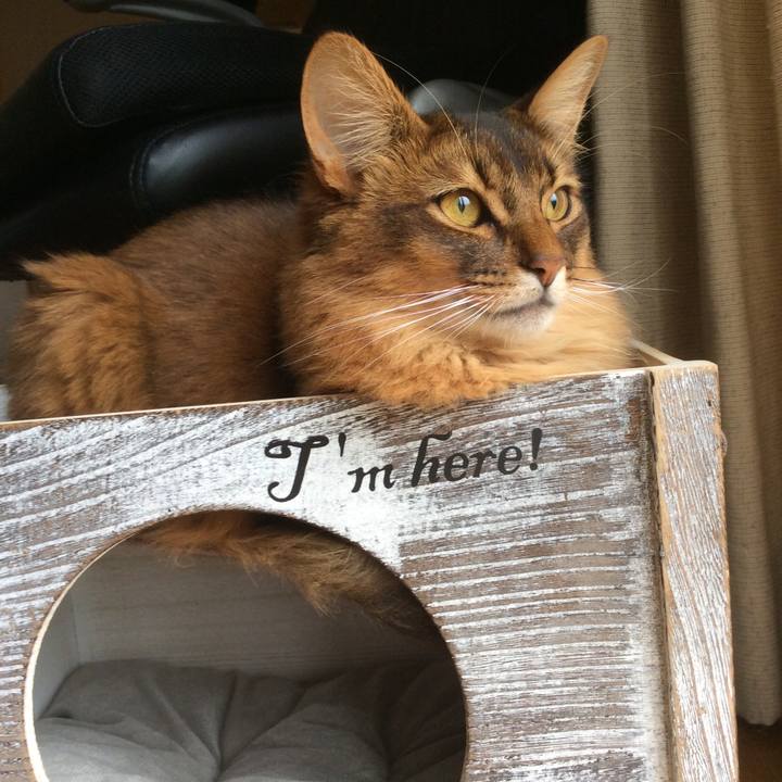 154bf3e7 eb2d 4d91 bd1d b1a89ea51e84 1621833432310