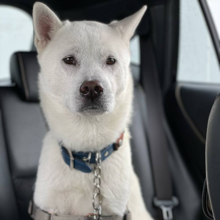 154c0713 aa09 4962 ae90 a26ed9687c64 1681525861369