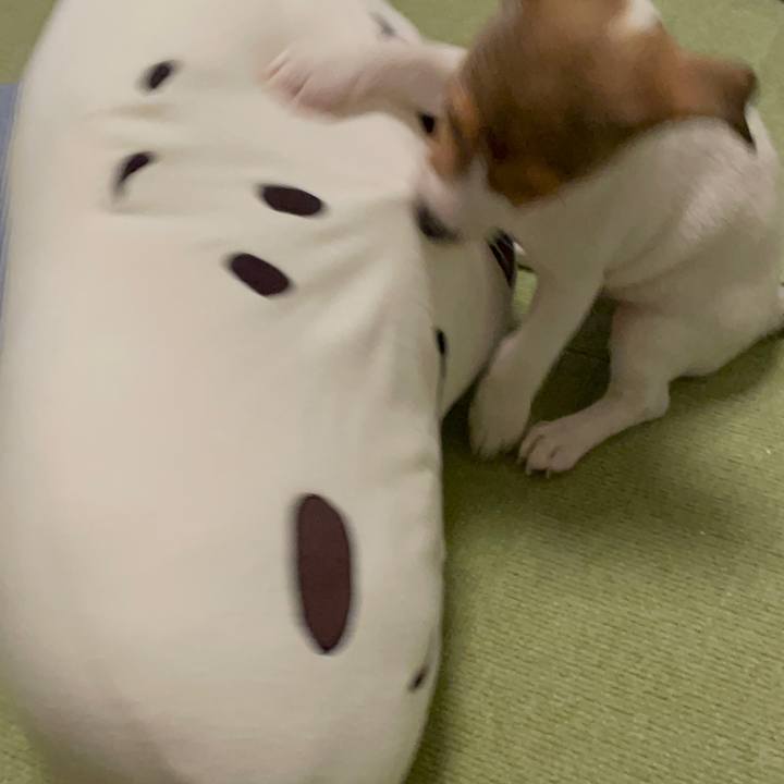 154c10f1 8163 4984 bd7d fe9aebdc29b3 1666605550154