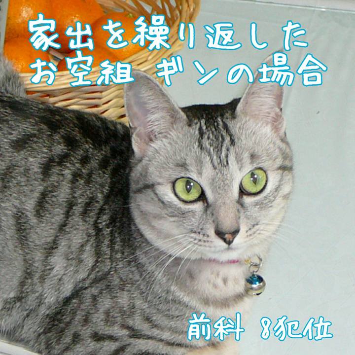 154c144a 7025 4468 b40e 0d61c8885c65 1539768711351