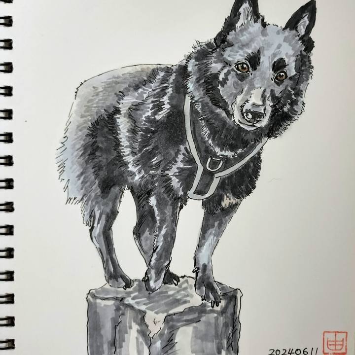 154c21f7 86eb 4bc0 8533 a8e1993aa9be 1718147326845