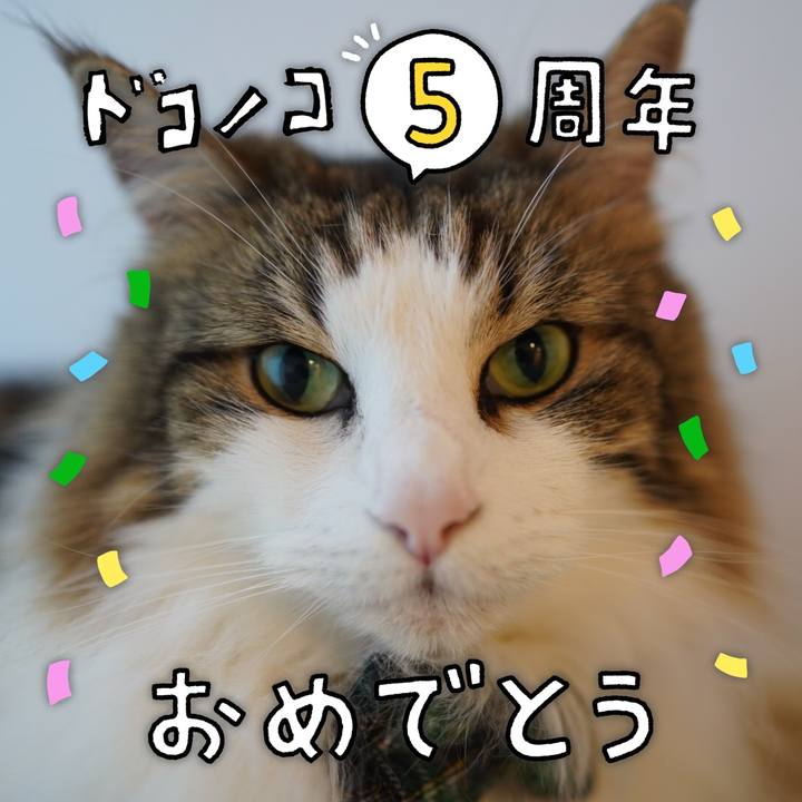 154c2a17 db39 41a5 b4f4 5ee3c472701b 1622889493375