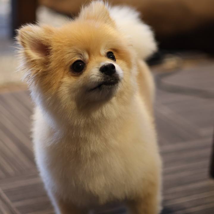 154c65f9 51e2 4f02 8bee faaa2b08af00 1685013994942