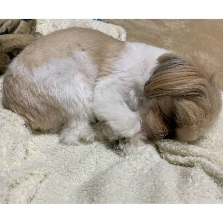 154cc57e 9e38 4dea 98d4 d50841d85b9b 1606548973283