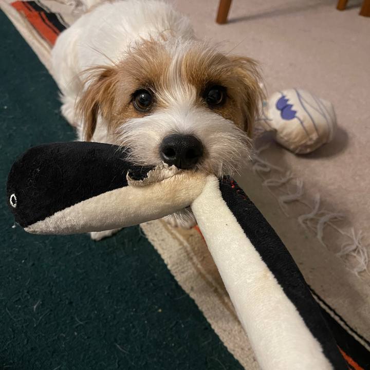 154d15b4 e882 451e 8e0d 5f3b1797c1df 1774531407003