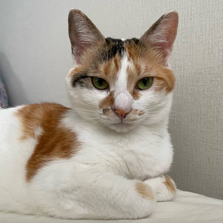 154d3f15 2b83 41ca a123 024f34e5ab6d 1659228249515