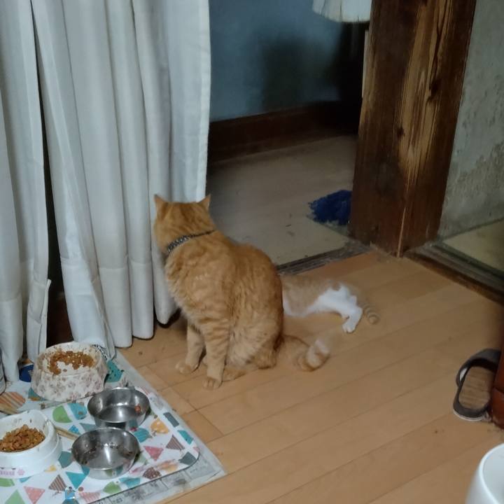 154d42b2 6f9b 4f46 8291 12fb392a6c40 1724932413862