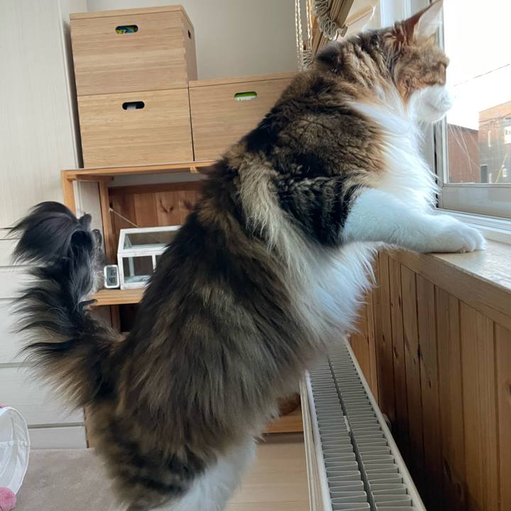 154d4b5c 4fb3 4b2c 9c44 96ef8580ebfd 1716320912698