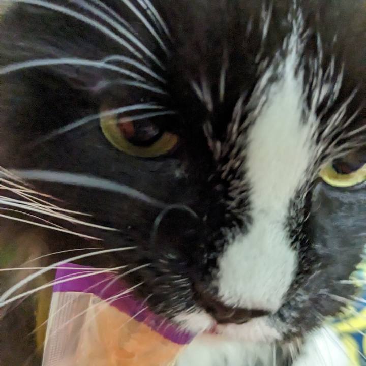 154dc29d 4ff9 4128 a3f9 fbd1b5922427 1699186098269