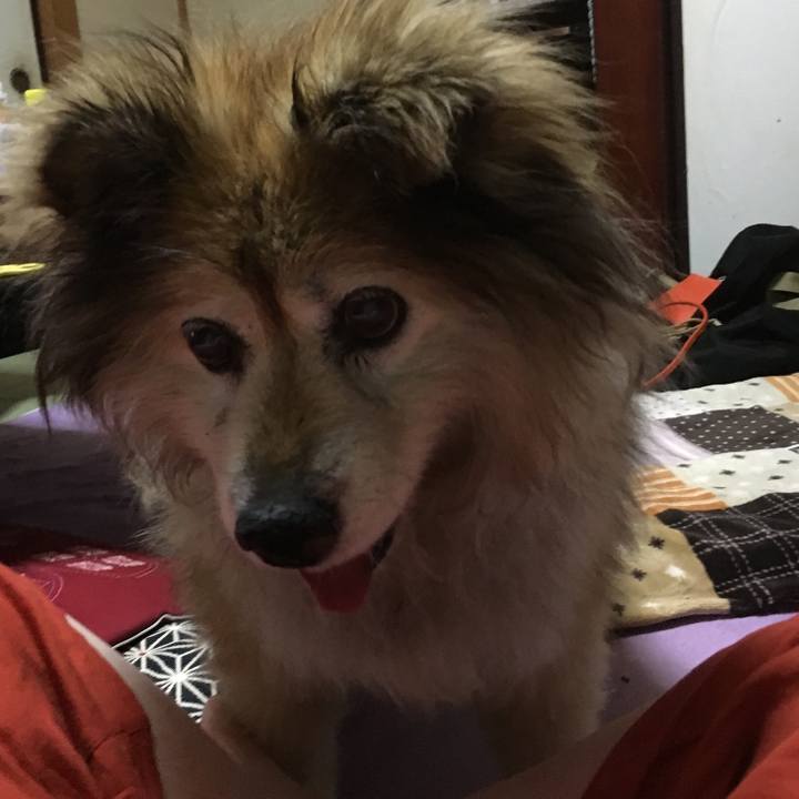 154de5b3 feb8 42bd 8676 496c1a141f62 1610841537316