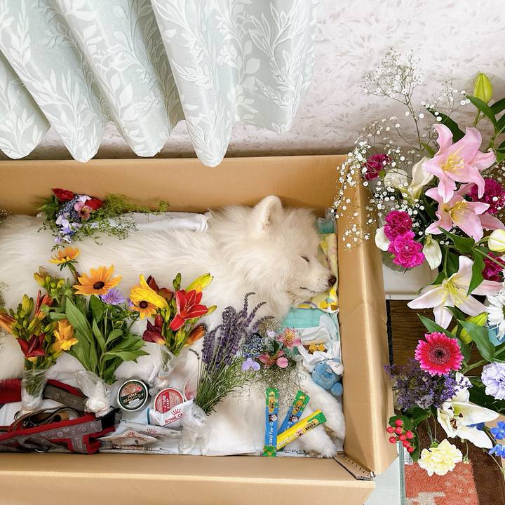 154de85d ae7c 45f6 90df b09b04b282eb 1718081498323