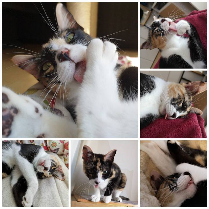 154e0448 865f 4b36 9085 48e46161dc4e 1600675751331