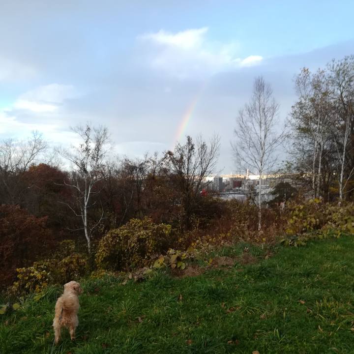 154e1322 af8e 434e b6ec 7e231bb16bf2 1541836778532