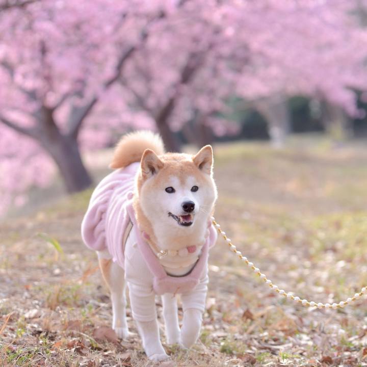 154e162d a65d 42e6 9af7 4ae2d34b704b 1772881061031