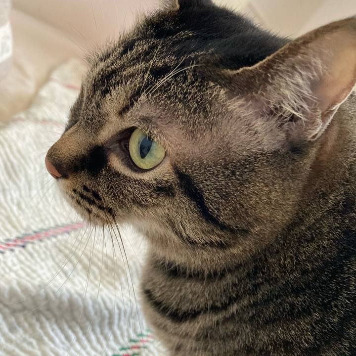 154e2af1 026d 4b6f 9133 6323acde8d5f 1738379593115