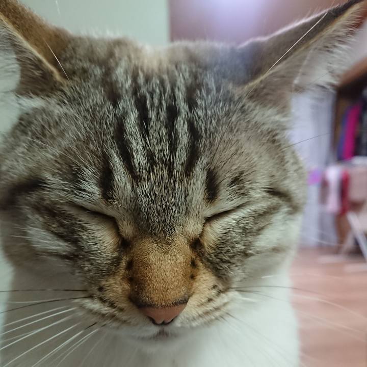 154e2df7 fc49 4bdf aa69 b3fb36c043b3 1589025356076