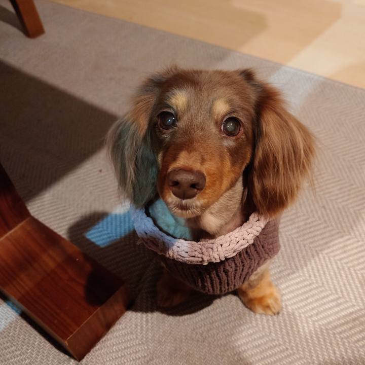 154e8391 230a 42e7 835e 9e0593a0cce4 1734745574452