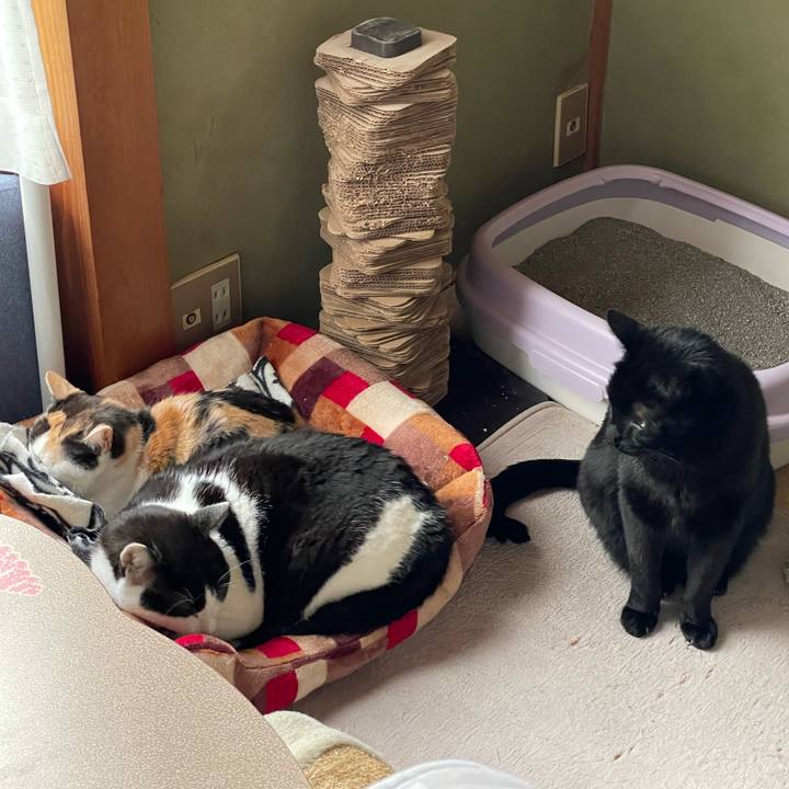 154e9264 b094 4d32 95aa 6d9f6eed72e1 1619574807718