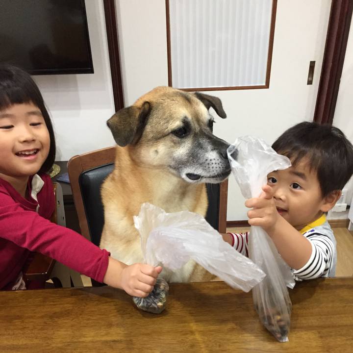 154ea010 5169 4c05 9ea8 bee55fd605f3 1507942108963