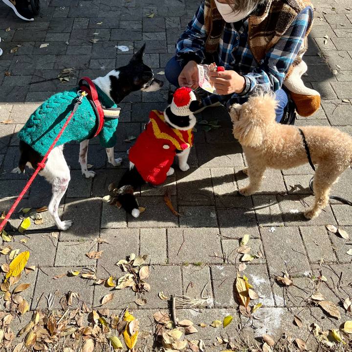 154ea3c2 dfb1 4b7d 9cb1 00c671370bfa 1638068986075