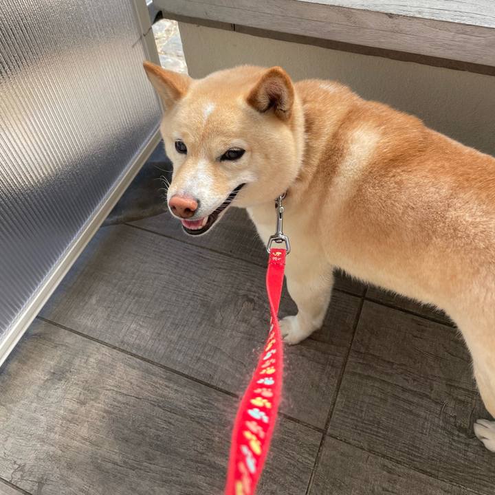 154eb457 cd98 4ad0 9dad f84824935187 1677244603770