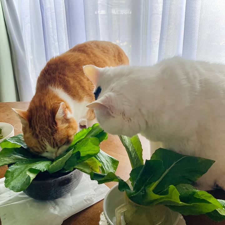 154ee319 d161 4b0f 90e5 74434eae7c5e 1713325764238