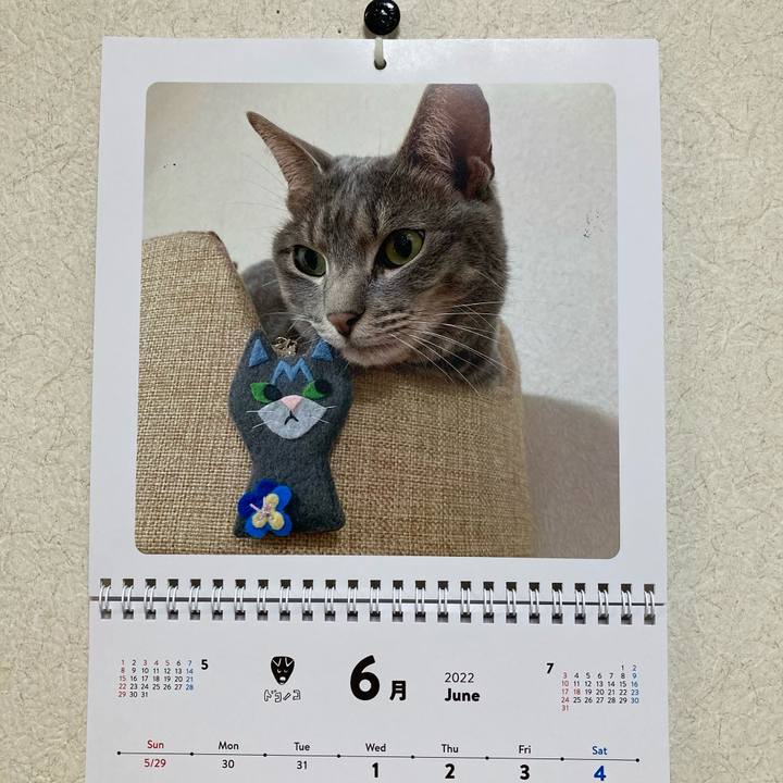 154f19fe 0af2 43f1 a6e6 02d2c7a65e6d 1654054662935