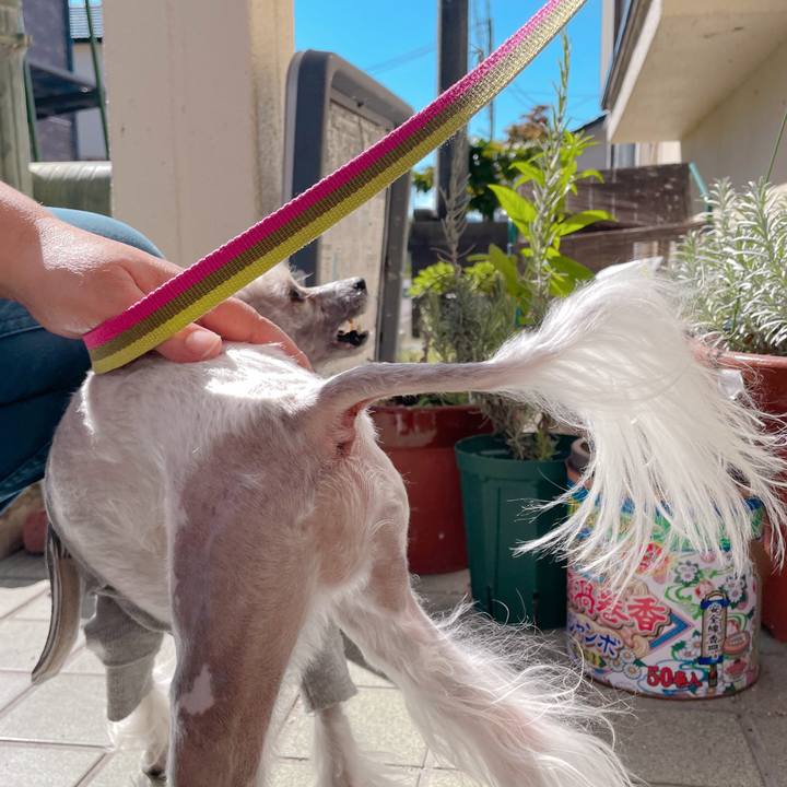 154f3e79 d374 47a4 99f2 3d4714c0a82a 1760088555995