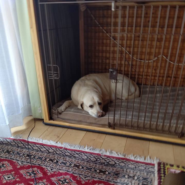 154f5a9b f246 4c47 816f 86f1902a6031 1678426779240