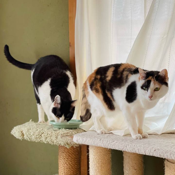 154f93a3 207d 44ad 9b95 6c39163e2972 1653446178493