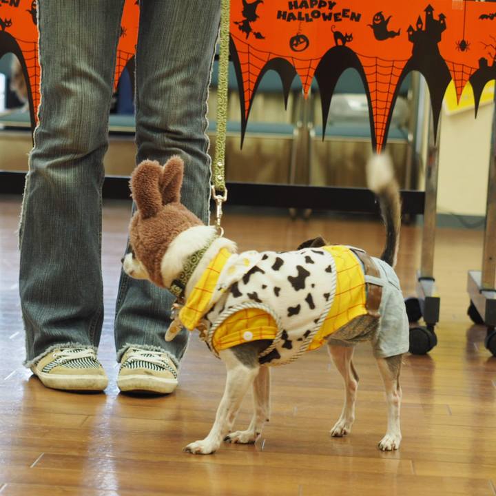 154fa431 6281 4716 8be0 ecc3dbac14b1 1539348255604