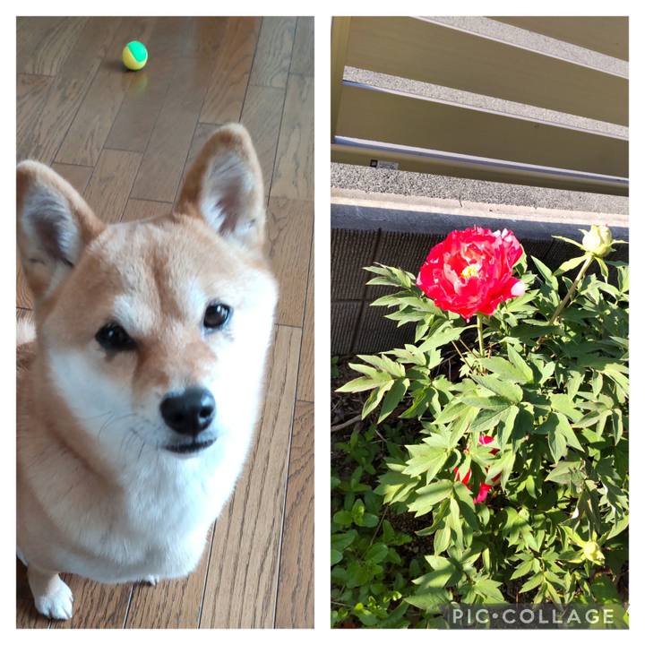 154fad7a b4a2 4f18 934b cd1075d176d5 1681097590463