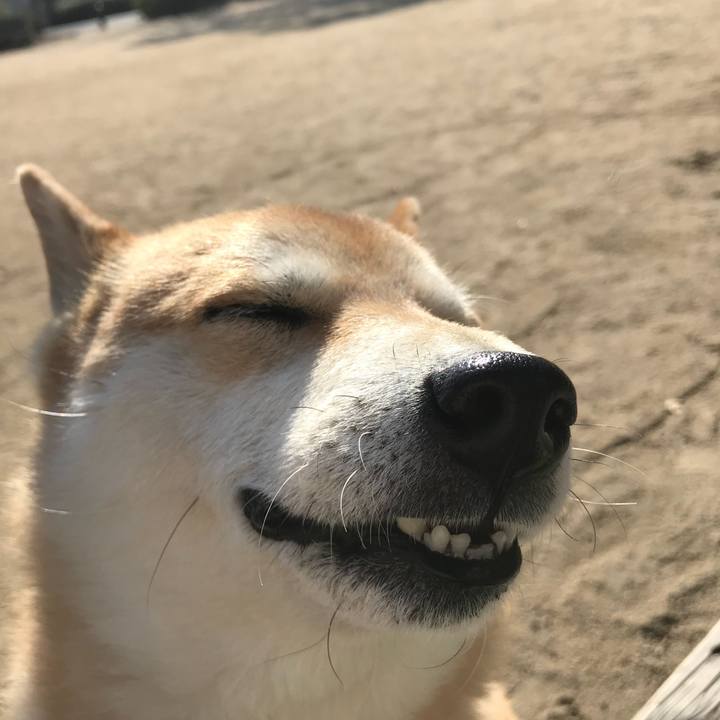 154fbb8e a2d9 4fd8 8dd8 26392da7bc4e 1517794826998