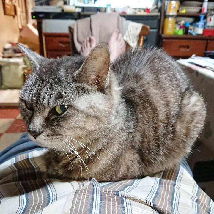 154ff90f f0fb 4ba8 ba85 5e61522e50a6 1600977396188