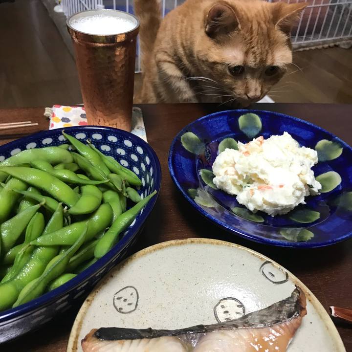 155008c8 404f 4cec 9586 6285ce9923b1 1528109894979