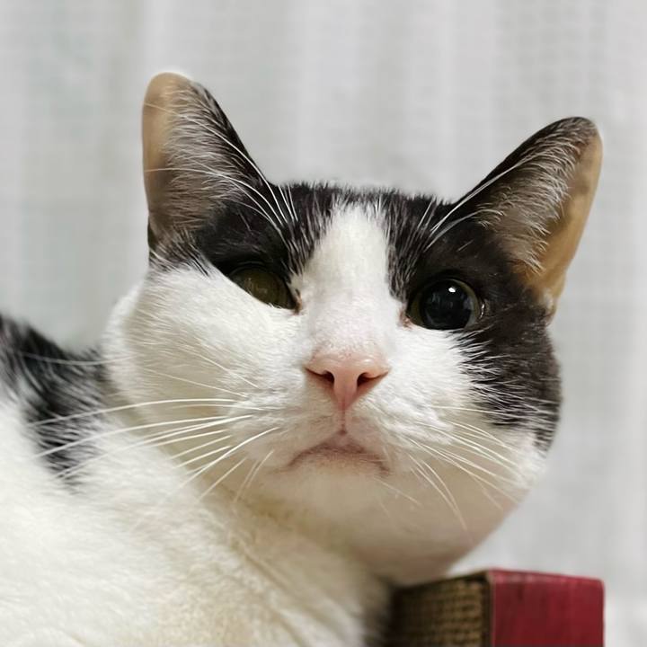 15500a3e cc6f 4bca 9ecf b0555c99d086 1638238579475