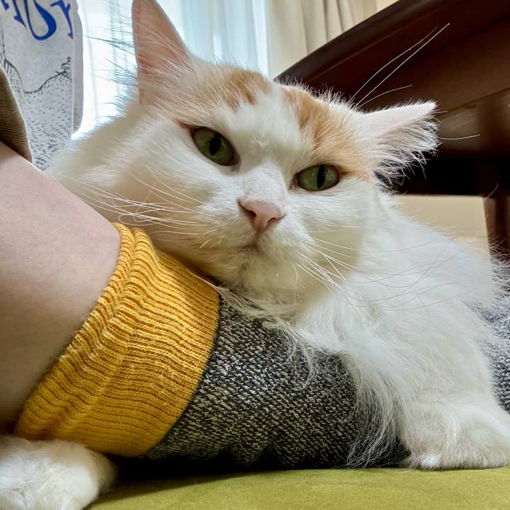 155038b5 0a02 457e bf76 35e2627fde41 1771648267368