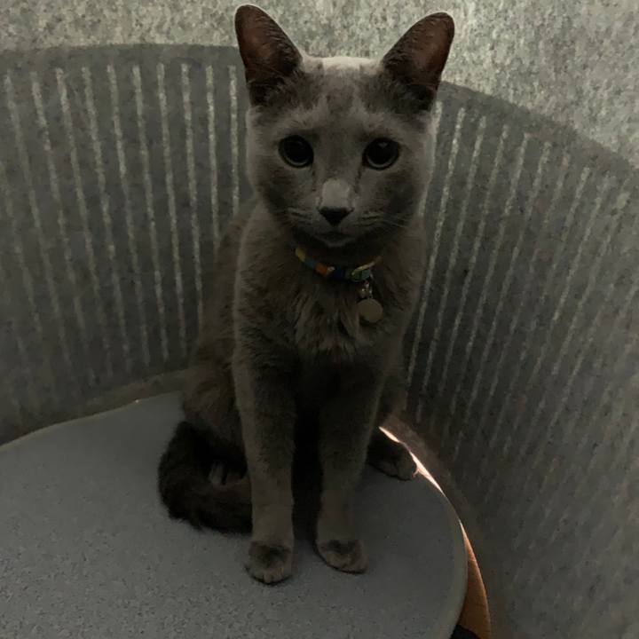 15504e50 616c 48b8 bbc3 9e17c6f7c8e0 1671289424439